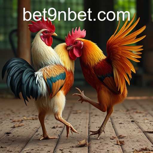 poker heads-up um contra um